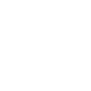 Fast Delivery Icon