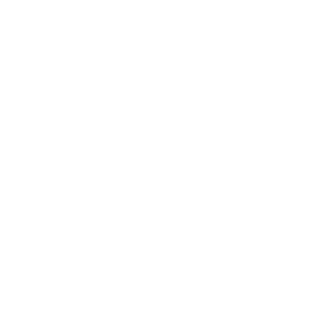 Quality Checked Icon