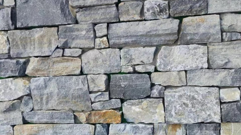 Bass Coast Gallery Image 2