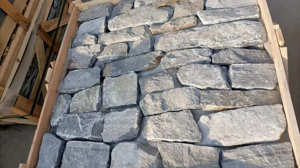 Bass Coast Gallery Image 3