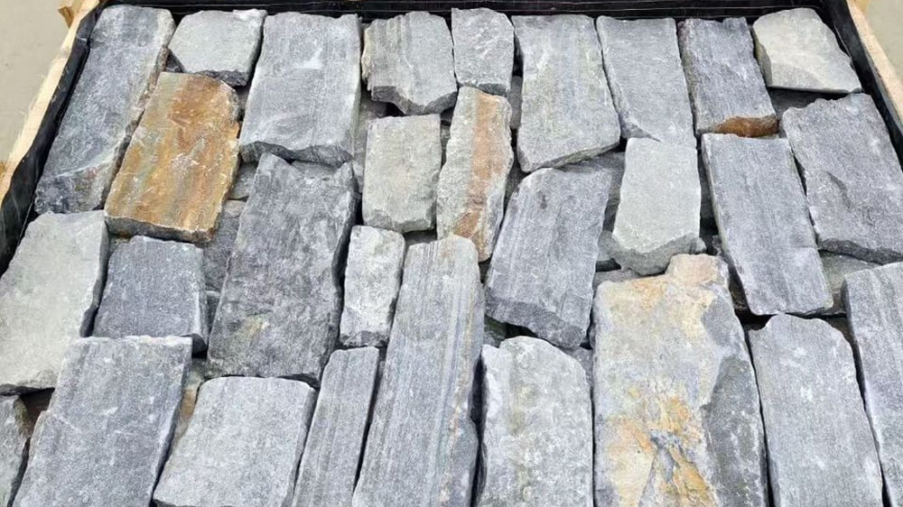 Bass Coast Gallery Image 4