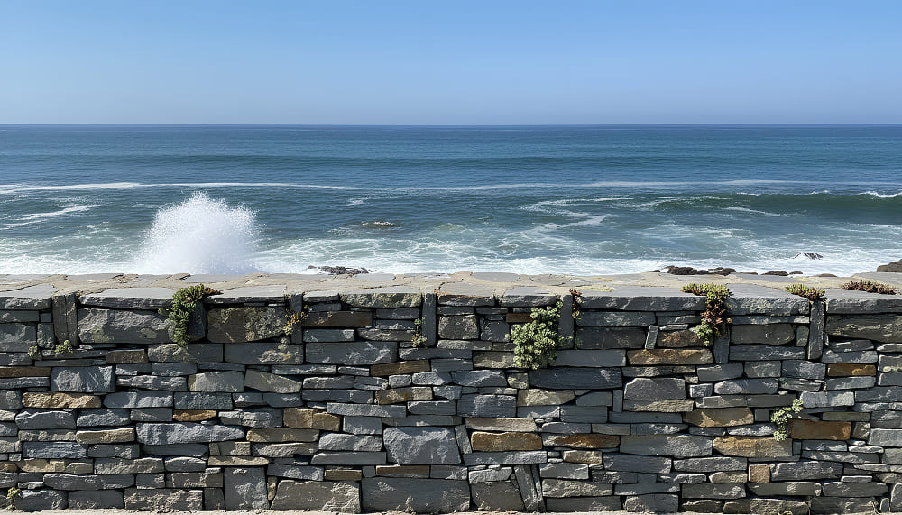 Bass Coast Gallery Image 5